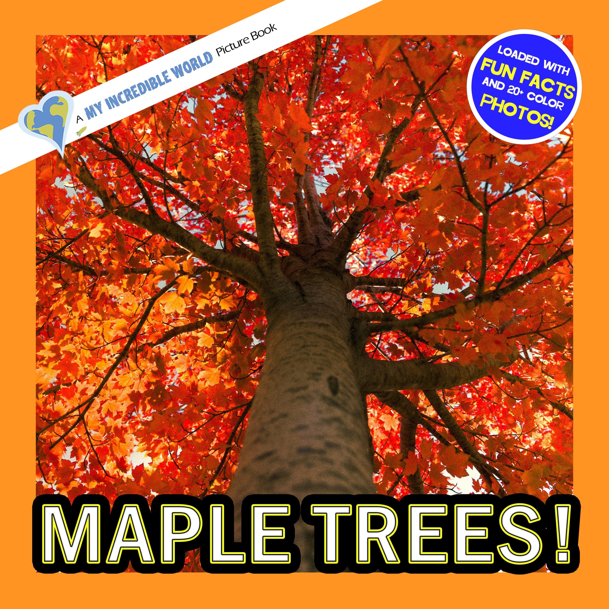 Maple Trees! A My Incredible World Picture Book for Children